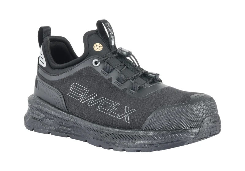 SWOLX SYNERGY-X 100